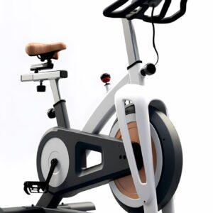 Bicicleta Pantalla Digital